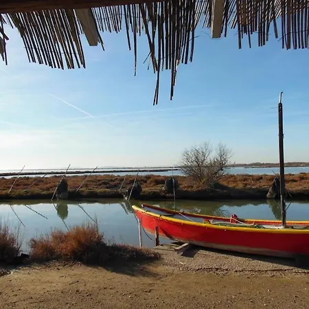 Chalet Au Bord De L'etang. 아파트 *